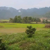 Bán 2300M2 Đất Ở Vườn Thuộc Xã Duy Hòa, Duy Xuyên, Quảng Nam, Giá Đầu Tư. 600 Triệu
