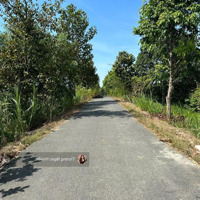Bán Gấp Lô Đất Đường Tôn Đản, Gần Chợ Hoà Phát, Cẩm Lệ Đà Nẵng 100M2/1.3Tỷ .Sổ Sẵn 100% Thổ Cư
