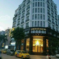 Khan Hiếm! Bán Khách Sạn Góc Đề Thám - Bùi Viện - Dt: 8,3X22M Hầm 8T Hđt: 450 Triệu/Th - Giá Bán 109 Tỷ Tl