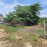 Siêu Phẩm Đất Nền Phong Ấp, Ninh Bình Khánh Hòa Giá Chỉ 690 Triệu