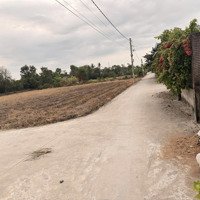 Bán Đất Nền Tại Xã Long Trạch, Cần Đước, Long An, Giá Bán 1,7 Tỷ, Diện Tích 200M2, Hàng Hiếm Uy Tín