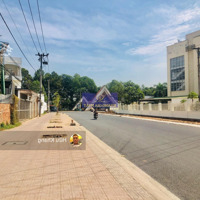 Mặt Tiền Võ Thị Sáu - Kế Bvdk Huyện Long Thành Ngang 10M X 53M Tc 300M2 Giá Ngộp 18 Tỷ Thương Lượng