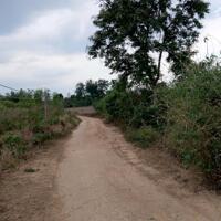 Còn Lô Nào Rẻ Hơn 1,4 Hec- Ta Xã Ea Dah, Krong Năng, Đak Lak