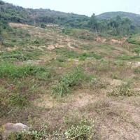 Bán 7054m2 nằm cạnh vòng xoay view biển giá 1tr Ninh Hải Ninh Hòa 0985451850