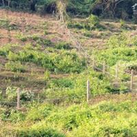 Bán 7054m2 nằm cạnh vòng xoay view biển giá 1tr Ninh Hải Ninh Hòa 0985451850