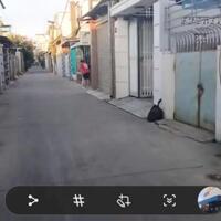 Hàng hiếm Đoàn Thị nghiệp Phường 5, TP Mỹ Tho. Nhà 3 mặt hẻm xe hơi.