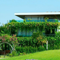 Chuyển Nhượng 2 Lô Biệt Thự 6 Pn,Vị Trí Trung Tâm Flamingo Đại Lải Resort, Dòng Tiền 450 Triệu/Năm