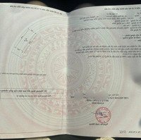 Trục Chính Kinh Doanh Thái Bình - Mai Lâm Trong Đê