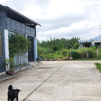 Lô Đất Full Thổ Cư, Đường Ô Tô 6M Tại Nha Trang, Cách Bãi Biển 10Phút Di Chuyển