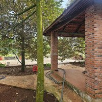 Ngộp Bám Lô Đất Mặt Đường Kim Long Láng Lớn 14X58M, 80M2 Thổ Cư