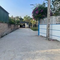 Bán Gấp Lô Đất 100M2 Tại Yên Mỹ Bình Yên, Thạch Thất, Hà Nội, 3,15 Tỷ