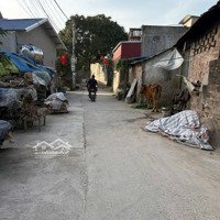 Bán Đất Tặng Nhà Cấp 4, Đường Oto Tránh Nhau, Gần Uỷ Ban Xã Thuỵ Hương