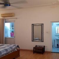 Cho thuê căn hộ dịch vụ tại Từ Hoa, Tây Hồ, 80m2, 1PN, đầy đủ nội thất