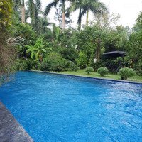 Bán Gấp Biệt Thự Đẹp Xuất Sắc Tại Flamingo Đại Lải Resort, 18,5 Tỷ, 325M2