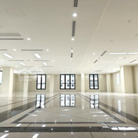 Tòa Nhà Mặt Tiền Trường Sơn, Q.tân Bình -Diện Tích16X36M, 360M2 - Hầm 9 Tầng - Hđt 900 Tr - Giá Bán 120 Tỷ