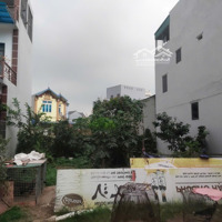 Chính Chủ Cần Bán Gấp 138.9M2 Đất Tại Xã Nghĩa Hương Quốc Oai, Giá Cực Kì Tốt, Vị Trí Đẹp