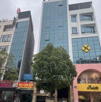Bán Nhà Mặt Phố Trần Thái Tông, 75 Tỷ, 95 M2, Cầu Giấy, Hà Nội - Hot! Uy Tín