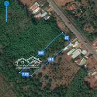 Cực Hiếm 1 Lô Duy Nhất 5530M2 Đất Lớn,Mặt Tiềnql14 Rộng 37M, Sổ Đỏ, Ngay Ub Xã Thọ Sơn, Chỉ 9 Tỷ