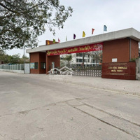 Chính Chủ Cần Tiền Gửi Bán Mảnh Đất Đẹp Bìa Làng Hương Trầm. Thuỵ Lâm. Đông Anh . Hà Nội