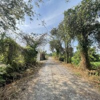 1000M2 (20M X 50M) - Full Thổ Cư - Đường Xe Tải