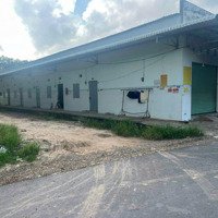Cần Bán Gấp Dãy Trọ Gần Chợ Trừ Văn Thố, Bàu Bàng, Bình Dương