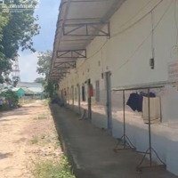 Cần Bán Gấp Dãy Trọ Gần Chợ Trừ Văn Thố, Bàu Bàng, Bình Dương