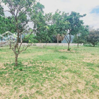 Bán Đất Tại Xã Liên Sơn, Lương Sơn, Hòa Bình, 3,85 Tỷ, 1820 M2, Chính Chủ Hot!