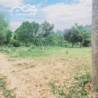Bán Đất Tại Xã Liên Sơn, Lương Sơn, Hòa Bình, 3,85 Tỷ, 1820 M2, Chính Chủ Hot!