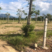 Đất Diên Hoà Ngang 30M( 300M Thổ Cư) Sát Ngay Đường Võ Nguyên Giáp-Diên Khánh