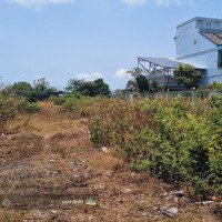 530 Triệu Đất Đường Nguyễn Thìn, Cách Chợ Long Thuận 500M, Xã Long Thuận, Tp.gò Công, 150M2