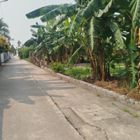 413M2 Tại Trực Trang Vùng Lõi Xã Bát Trang, 88M2 Đất Ở Giá Bán 1Tỷ300, Đường Thông, Mầm Non 50M Các Cấp