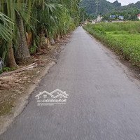 Đất Nền Đẹp Tại Trường Thành, An Lão, Hải Phòng, 30 Triệu / M2, 336 M2