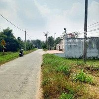 Quá Rẻ! Đất 102M2 Sổ Riêng, Thổ Cư, Đường Nhựa Ô Tô 6M Chỉ 450 Triệu Tại Chợ Phú Khương, Bến Tre