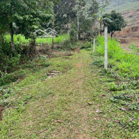 Bán Lô Đất Siêu Tiềm Năng Diện Tích Rộng, Nhiều Thổ Cư