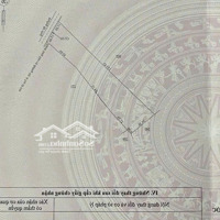 Có 800 Triệu Mà Sở Hữu Hơn 4000M2 Đất Có Sẵn Vườn Tiêu Tại Thiện Hưng, Bù Đốp