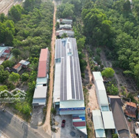 Bán Kho, Nhà Xưởng Tại Quốc Lộ 22B, Tân Phong, Tân Biên, Tây Ninh, Có Nguồn Thu Thụ Động 60 Triệu/Th