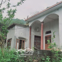 Hàng Ngon Bổ Rẻ Nhất Bán Đất Tại Xã Liên Sơn, Giá Cực Chất 3,59 Tỷ, Diện Tích 52000 M2, Hot!