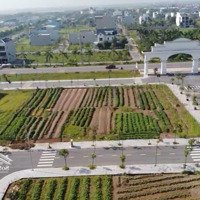 Đất Nền Khu Công Nghiệp Tiền Hải. Ngay Showroom Ô Tô Vinfast Tại Ngã Tư Thông Trục Chính Ra Biển