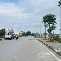 Bán Lô Đất Đấu Giá Thụy Lâm 80M2 Mặt Đường Lớn 15M Cực Phẩm