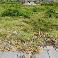 Bán Lô Đất Đấu Giá Thụy Lâm 80M2 Mặt Đường Lớn 15M Cực Phẩm