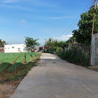 Lô Đất Đẹp, Sổ Sẵn Tại Xã Lạc Xuân, Đơn Dương 300M², Giá Chỉ 579 Triệu