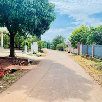 Bán Đất Sơn Bình, Châu Đức, Bà Rịa Vũng Tàu, Ngang 10M, Diện Tích 481M2, Thổ Cư, Giá Chỉ 1.37 Tỷ