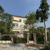 Review Bđs: Biệt Thự Tt84 - 06 Khu Đô Thị Nam An Khánh Sudico.diện Tích593.6M2. Sổ Đỏ, Giá Tốt Nhất