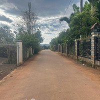 Bán Đất Tặng Nhà Giá Rẻ Phù Hợp Cho Gia Đình Tài Chính Thấp Tại Xã Hiệp Thạnh, Chỉ 1.3 Tỷ