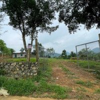 Bán Đất Nghỉ Dưỡng Yên Bài, Ba Vì