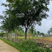 Bán Đất Nghỉ Dưỡng Yên Bài, Ba Vì