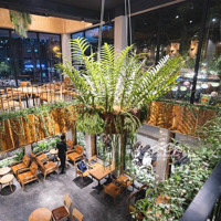 Cho Thuê Mbkd Phố Tô Hiến Thành, 160M² X 2T,Mặt Tiền6M, Khu Trung Tâm, Phù Hợp Đa Mô Hình