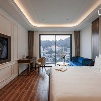 Tôi Cần Bán Căn Hộ 1 Ngủ Tại Trần Phú, Phường 5, Vũng Tàu,Diện Tích33M2, Full Nội Thất Cao Cấp