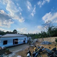 Mảnh Này Bác Nào Nhanh Tay Còn - Diện Tích : 700M Có 400M Thổ Cư .Sẵn Nhà Mái Bằng Đẹp Long Lanh,