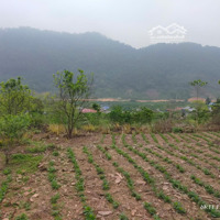 Đất Nền Bán Gấp Đt 433, Cao Sơn, Đà Bắc, Hòa Bình, 7200M2, 400M2 Thổ Cư